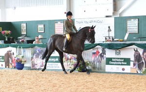 RoR-Horse-of-the-Year-Liverpool-at-RoR-Nat-Champ-show