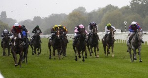 PHOTO by Paul Johns - 148747 - Berkshire College of Agriculture at Windsor Racecourse winner of 1st race sponsored by BCA Dreams of Glory with jockey Tom Greatrex (l)