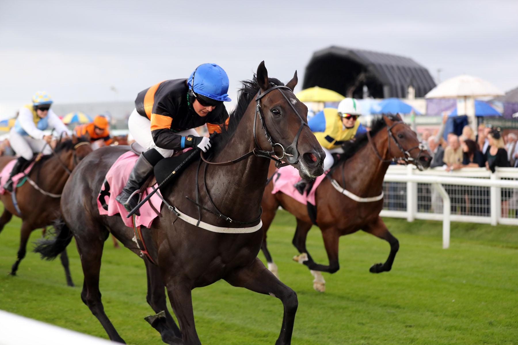 SWISS LAIT Ridden by Miss A.Waugh wins at the Carlisle Ladies Night 1/8/16 Photograph by GROSSICK RACING 07710461723